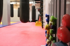 img-19161